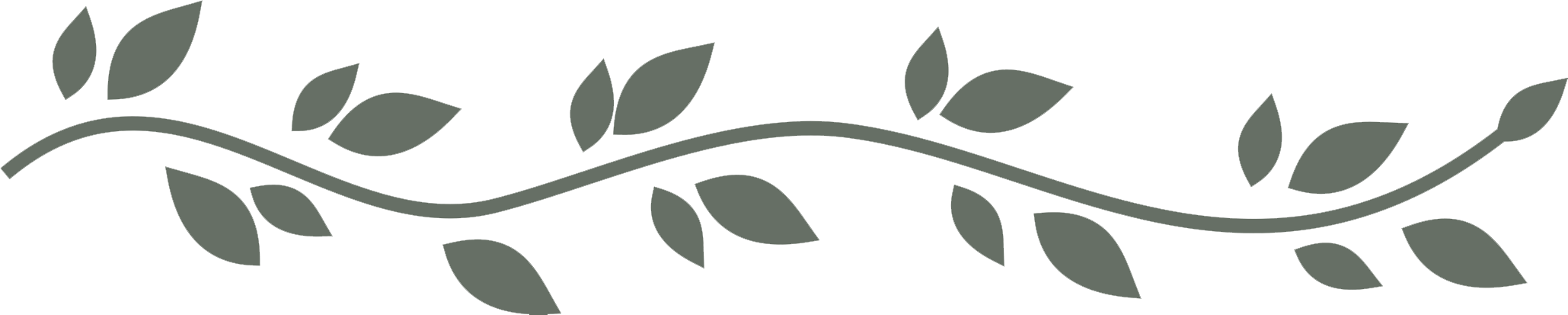 ribbon